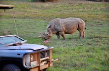 Port Elizabeth Safari and City Tour from Gqeberha