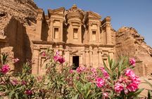 3-Day Petra and Wadi Rum Tour from Jerusalem