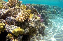 Private Boat Rental in Sharm EL Sheikh Aboard Barbarosa