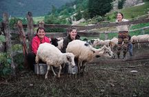 Immersive 2-Day Tour/Homestay with Shepherds in the Albanian Alps