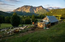 Immersive 2-Day Tour/Homestay with Shepherds in the Albanian Alps