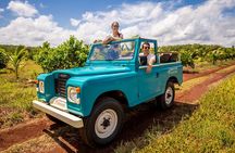 Private Tour Uxmal Land Rover Vintage Adventure with Mayan Brunch