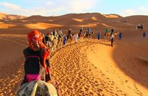 Circuit the south of Tunisia in 2 days Sahara Explorer