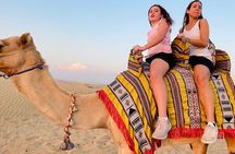 Sunrise Desert Safari with Sand Boarding and Camel Ride