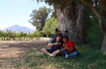 Full-Day Private Maipo Valley Bike Tour and Wine Tasting from Santiago