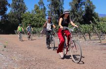 Full-Day Private Maipo Valley Bike Tour and Wine Tasting from Santiago