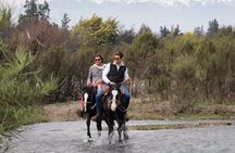 Horseback Private Wine Tour and Country Grill from Santiago
