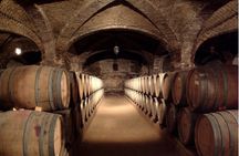 Maipo Valley Top Wineries Private Tours and Tastings from Santiago