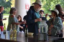 Maipo Valley Top Wineries Private Tours and Tastings from Santiago