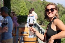 Private Tour: Isla de Maipo For Wine Lovers