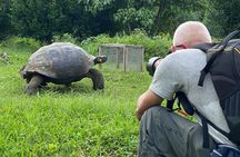 Giant Turtle Watching and Lava Tunnels Tour