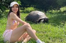 Giant Turtle Watching and Lava Tunnels Tour