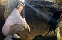 Giant Turtle Watching and Lava Tunnels Tour