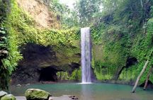 Bali Full Day Tour - Snorkeling at Blue Lagoon and Waterfall Tour