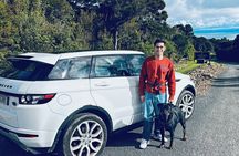 Private Dog Friendly Wine Tour with your Local Guide