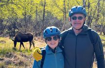 Tony Knowles Coastal Trail Scenic Bike Tour - MOST POPULAR