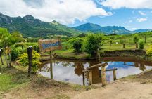 3 Hours Private Tour in Fiji