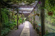 3 Hours Private Tour in Fiji