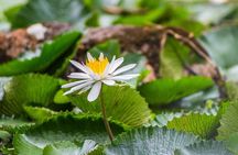 3 Hours Private Tour in Fiji