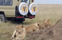 5 Days Serengeti and Ngorongoro Budget Camping Safari Tour