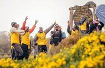 Kilimanjaro Private Climbing in 6 Days Marangu Route