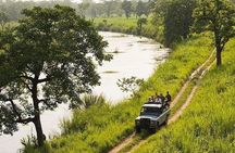 2 Nights 3 Days Jungle Tower Stay Package :Chitwan National Park