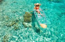 TRANSPARENT KAYAKING or SUP-ing AROUND ISLANDS