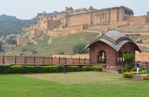 From Delhi: Jaipur city Tour with Monkey Temple by Car