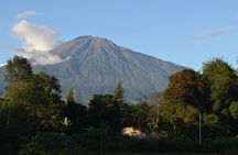 Full-Day Sightseeing Tour in Arusha 