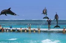 Speed Boat Adventure In Punta Cana