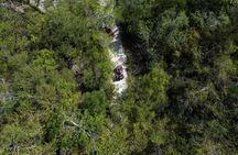 Cozumel ATV Jungle Small Group Guided Ride