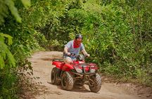 Cozumel ATV Jungle Small Group Guided Ride