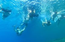 Private Mykonos Nature Tour by Minibus 