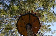 Guided Canopy Tour w/Transportation