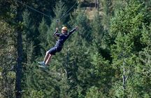 Guided Canopy Tour w/Transportation