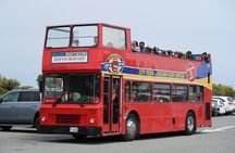 San Francisco: Shared Deluxe Bus sightseeing Tour with 20 Stops