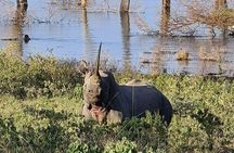4 Days Masai mara and Lake Nakuru Safari from Nairobi