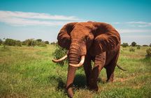  3 Days 2 Nights Masai Mara Standard Safari