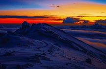 Private Kilimanjaro Hike 7 Day Lemosho Route