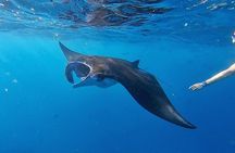 Swim With Manta Rays Snorkeling and Nusa Penida West Land Tour 