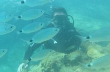Scuba Diving Tour in Alanya