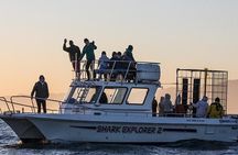 Shark Explorers
