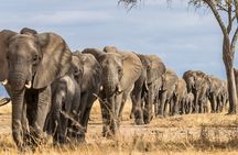 5 Day Budget Camping safari