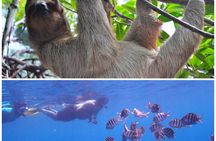 Roatan Drift Snorkel and Monkey/Sloth Sanctuary Tour