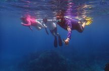 Roatan Drift Snorkel and Monkey/Sloth Sanctuary Tour