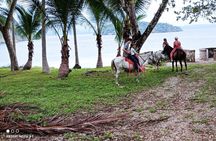 1 1/2 hours Tour Horseback Riding and Visiting the Beach