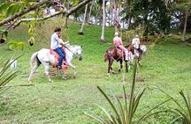 1 1/2 hours Tour Horseback Riding and Visiting the Beach