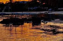 All inclusive CATAMARAN with BBQ : Ile aux cerf & GRSE waterfall