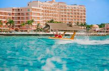 Speed Boat Snorkeling and Beach in Cozumel 