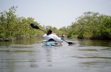 Get Up And Go Kayaking - New Smyrna Beach